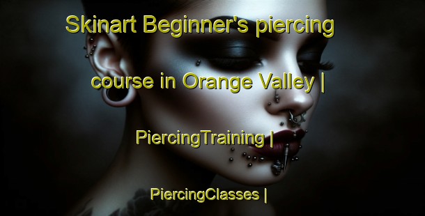 Skinart Beginner's piercing course in Orange Valley | PiercingTraining | PiercingClasses | SkinartTraining-Jamaica